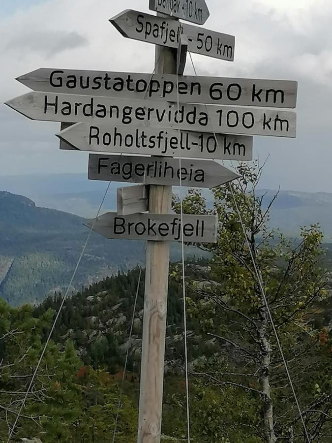 Norbel Hytte Norway Vradal Extérieur photo
